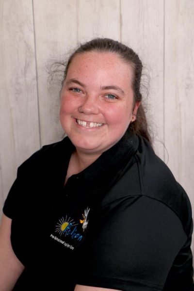 LEAD Technologies Inc. V1.01